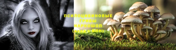 MESCALINE Алексеевка